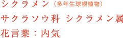 シクラメン（多年生球根植物） サクラソウ科 シクラメン属 花言葉：内気 