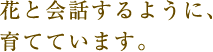 花と会話するように、育てています。