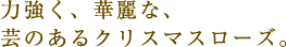 力強く、華麗な、芸のあるクリスマスローズ。